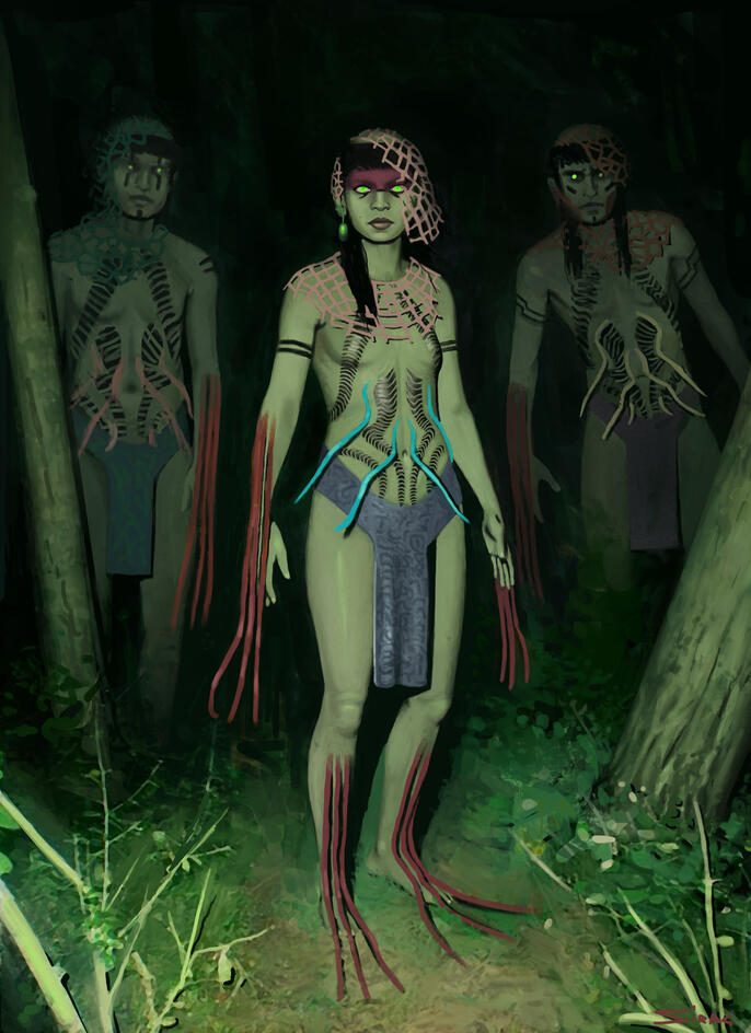 First Encounter